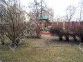 Фотография Годуново 6