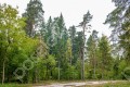 Фотография Новое-Успенское 5