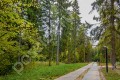Фотография Новое-Успенское 9