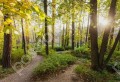 Фотография Серебряные тропы 8