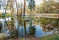 Фотография Серебряные тропы 9