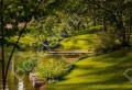 Фотография Серебряные тропы 10
