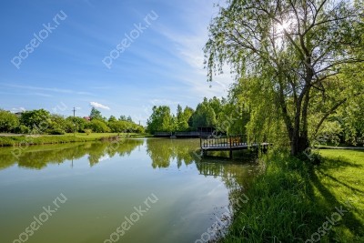 Фотография Пенаты