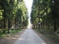 Фотография Звягино СТ 6