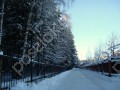 Фотография Звягино СТ 12