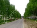 Фотография Изумрудный город 3