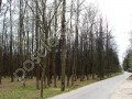 Фотография Абабурово 8