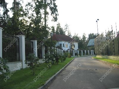 Фотография Надежда