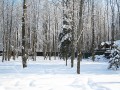Фотография Стародачное 10