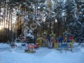 Фотография Спутник 12