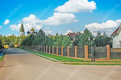 Фотография Кедры