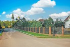 Фотография Кедры