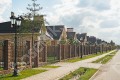 Фотография Кедры 11