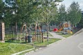 Фотография Кедры 12