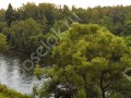 Фотография Старая Пахра 8