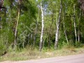 Фотография Урожай 5