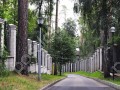 Фотография Архангельское УПДП 3