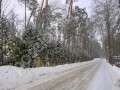 Фотография Архангельское УПДП 11