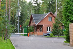 Фотография Лесные Дали-2