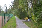 Фотография Лесные Дали-2