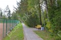 Фотография Лесные Дали-2 6