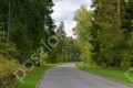 Фотография Лесные Дали-2 7