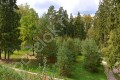 Фотография Лесные Дали-2 8
