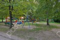 Фотография Лесные Дали-2 13