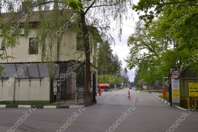 Фотография Ландшафт