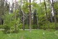 Фотография Ландшафт 12