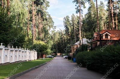 Фотография Сосновый бор (Николина Гора)
