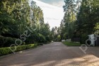 Фотография Сосновый бор (Николина Гора)