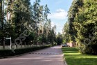 Фотография Сосновый бор (Николина Гора)