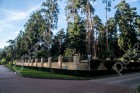 Фотография Сосновый бор (Николина Гора)