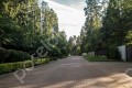 Фотография Сосновый бор (Николина Гора) 2