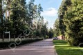 Фотография Сосновый бор (Николина Гора) 5