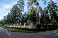 Фотография Сосновый бор (Николина Гора) 6