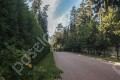 Фотография Сосновый бор (Николина Гора) 7