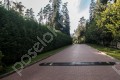Фотография Сосновый бор (Николина Гора) 14