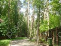 Фотография Конус НКИЖС 5