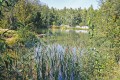 Фотография Южное 8