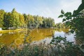 Фотография Южное 10