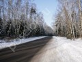 Фотография НП Нехлюдово 13