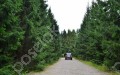 Фотография Зеленая Лощина 5