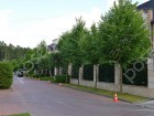 Фотография Романово-2