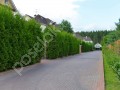 Фотография Романово-2 6