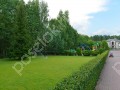 Фотография Романово-2 11