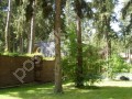 Фотография Сосны 1 5