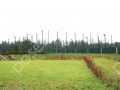 Фотография Флоранс 8