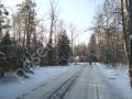 Фотография Новогорск-1 11
